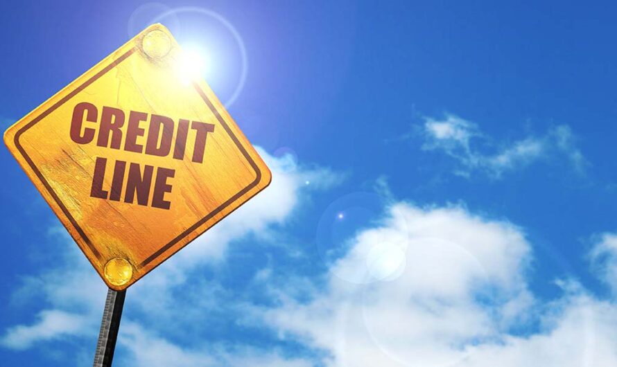 The Top 10 Business Line of Credit Companies